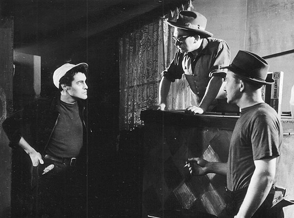 The Petrified Forest