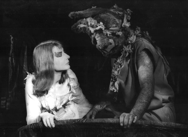 A Midsummer Night's Dream