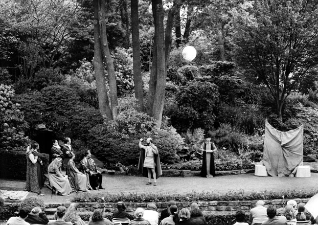 A Midsummer Night's Dream