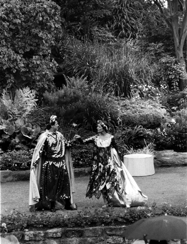 A Midsummer Night's Dream